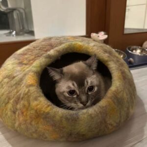 504630344_698138469681268_7777084690670595550_n