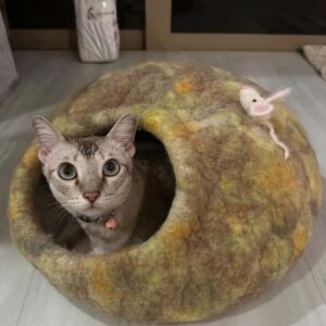 508264974_1393483875259522_4292609599503949012_n