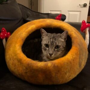 iap_640x640.1388332842_k73wq864