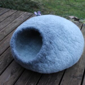 Cat House with Mouse